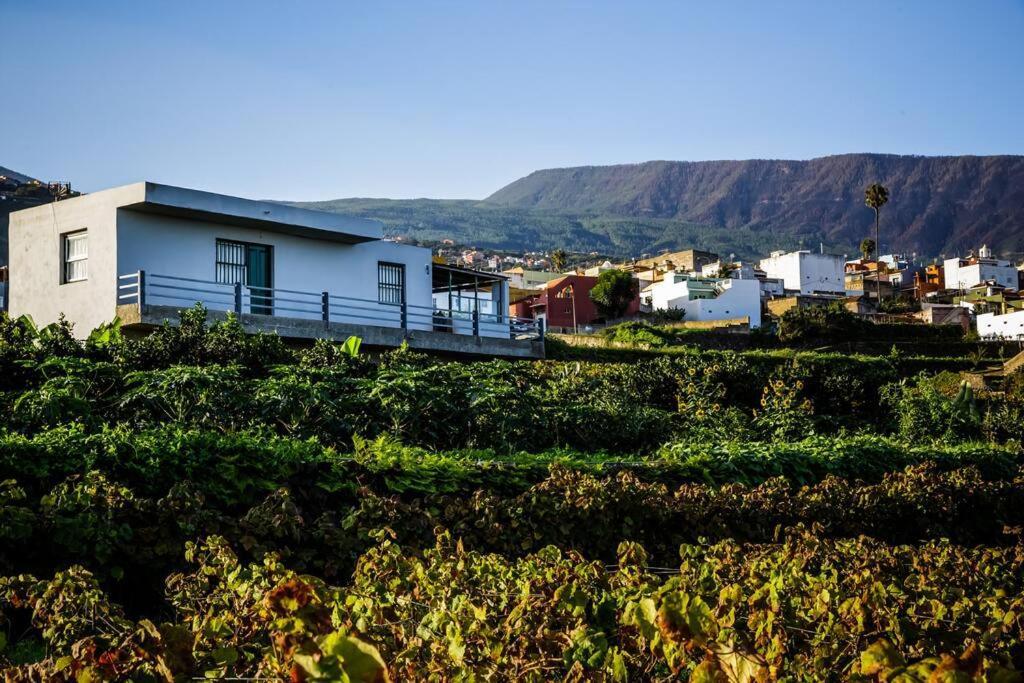 Finca Maranuela La Perdoma Ngoại thất bức ảnh