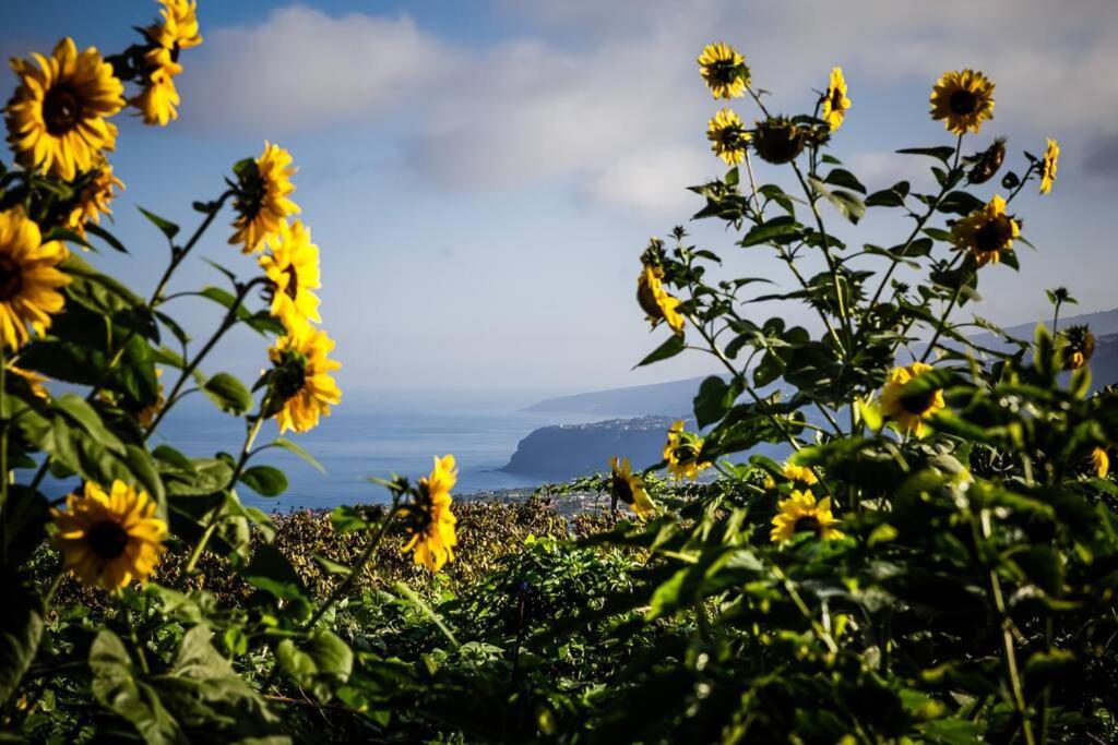 Finca Maranuela La Perdoma Ngoại thất bức ảnh